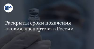 Кирилл Дмитриев - Александр Гинцбург - Раскрыты сроки появления «ковид-паспортов» в России - ura.news