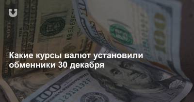 Какие курсы валют установили обменники 30 декабря - news.tut.by - Белоруссия