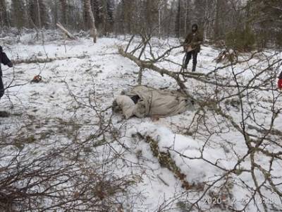 В Башкирии мужчина едва не погиб, спасая собаку - ufatime.ru - Башкирия - район Белорецкий