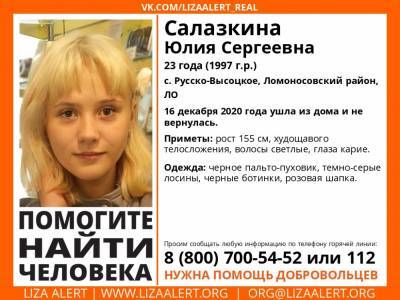 В Ломоносовском районе без вести пропала 23-летняя девушка - ivbg.ru - Ленобласть