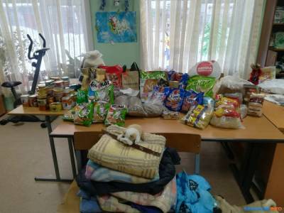 Юные кинологи из Холмска благодарны за помощь бездомным животным - sakhalin.info - Холмск