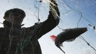 В Украине усилят борьбу против рыбного браконьерства - hubs.ua