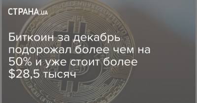 Биткоин за декабрь подорожал более чем на 50% и уже стоит более $28,5 тысяч - strana.ua