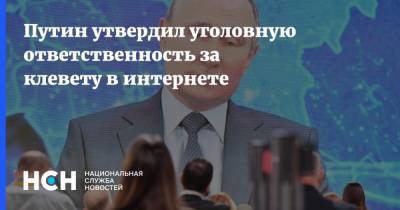 Владимир Путин - Путин утвердил уголовную ответственность за клевету в интернете - nsn.fm