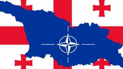 Михаил Саакашвили - Грузия развивает сотрудничество с НАТО - anna-news.info - Грузия - Хорватия - Чехия - Тбилиси - Словакия - Геополитика