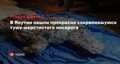 Утонул в реке. В Якутии нашли прекрасно сохранившуюся тушу шерстистого носорога - nv.ua - респ. Саха - Russia