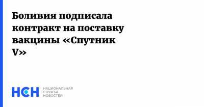 Луис Арсе - Боливия подписала контракт на поставку вакцины «Спутник V» - nsn.fm - Сербия - Боливия