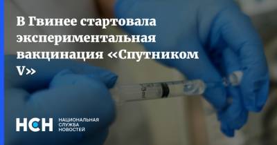 В Гвинее стартовала экспериментальная вакцинация «Спутником V» - nsn.fm - Боливия - Гвинея