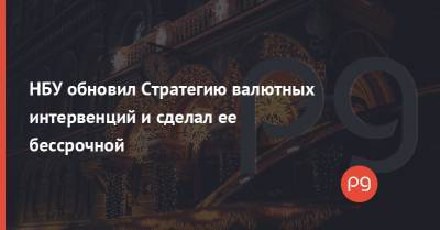 НБУ обновил Стратегию валютных интервенций и сделал ее бессрочной - thepage.ua