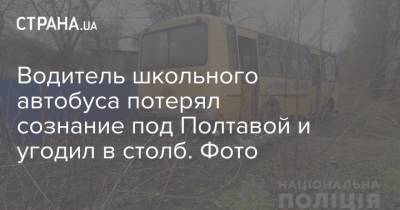 Водитель школьного автобуса потерял сознание под Полтавой и угодил в столб. Фото - strana.ua - Полтавская обл. - Полтава