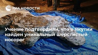 Ученые подтвердили, что в Якутии найден уникальный шерстистый носорог - ria.ru - Москва - респ. Саха