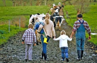 Названы главные проблемы и преимущества семейных молочных ферм - agroportal.ua