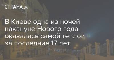 В Киеве одна из ночей накануне Нового года оказалась самой теплой за последние 17 лет - strana.ua - Киев