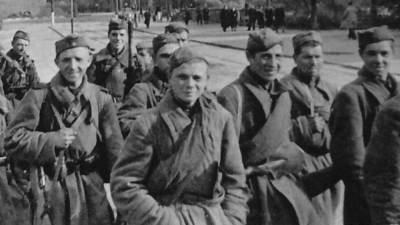 Александр Невский - Более 80 тысяч человек узнали о подвигах героев из Подмосковья - nation-news.ru - Московская обл.