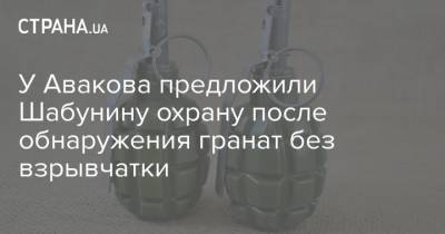 Виталий Шабунин - У Авакова предложили Шабунину охрану после обнаружения гранат без взрывчатки - strana.ua - Киев - район Святошинский, Киев