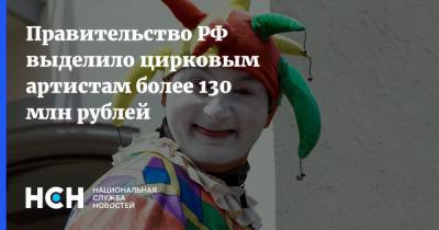 Михаил Мишустин - Правительство РФ выделило цирковым артистам более 130 млн рублей - nsn.fm
