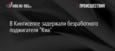 В Кингисеппе задержали безработного поджигателя «Киа» - ivbg.ru - Ленобласть