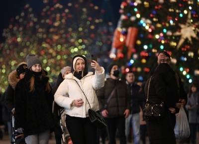 Тамбовская область отпразднует Новый год в офлайне и онлайн - interfax-russia.ru - Тамбовская обл.