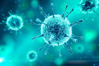 Во Франции - Во Франции подтвердили первый случай штамма коронавируса из ЮАР - vkcyprus.com - Швейцария - Австралия - Франция - Юар