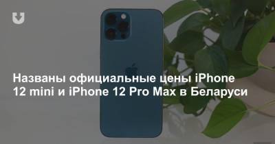 Названы официальные цены iPhone 12 mini и iPhone 12 Pro Max в Беларуси - news.tut.by - Россия - Белоруссия