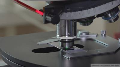 Микроскоп нового типа может видеть биологические ткани сквозь кости черепа - newinform.com - Сеул