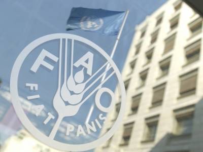 В мире впервые за шесть лет резко выросли цены на продукты - FAO - unn.com.ua - Киев