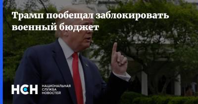 Дональд Трамп - Трамп пообещал заблокировать военный бюджет - nsn.fm - США