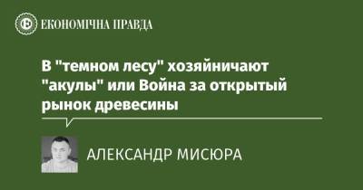 В "темном лесу" хозяйничают "акулы" или Война за открытый рынок древесины - epravda.com.ua