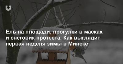 Ель на площади, прогулки в масках и снеговик протеста. Как выглядит первая неделя зимы в Минске - news.tut.by - Минск