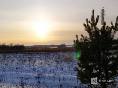 Солнечная и морозная погода ждет нижегородцев в выходные - vgoroden.ru - Нижегородская обл.