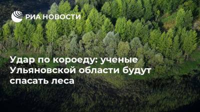 Удар по короеду: ученые Ульяновской области будут спасать леса - ria.ru - Москва - Россия - Ульяновская