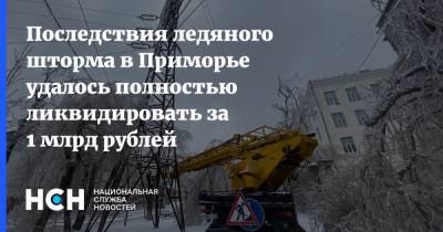 Вера Щербина - Последствия ледяного шторма в Приморье удалось полностью ликвидировать за 1 млрд рублей - nsn.fm - Приморье край