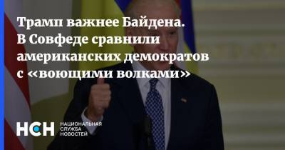 Андрей Климов - Джозеф Байден - Джо Байден - Трамп важнее Байдена. В Совфеде сравнили американских демократов с «воющими волками» - nsn.fm - Россия - Китай - США - Иран