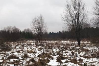 В Ивановской области оштрафовали собственника заброшенной земли - mkivanovo.ru - Ивановская обл.