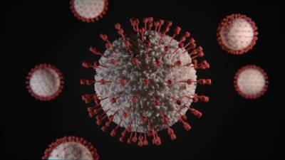 Обнаружили первую мутацию коронавируса против которой бессильны антитела - 24tv.ua