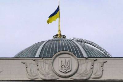 Зеленский - Рада приняла законопроект Зеленского о компенсациях для малого бизнеса - lenta.ua - Украина