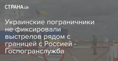 Украинские пограничники не фиксировали выстрелов рядом с границей с Россией - Госпогранслужба - strana.ua - Россия - Украина