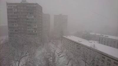 Ущерб от снежного циклона в Приморье предварительно оценили в 1 млрд рублей - mir24.tv - Россия - Приморье край