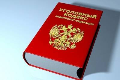 Ни щенка, ни денег: ивановку развели на покупке породистой собаки - mkivanovo.ru - Нижегородская обл.