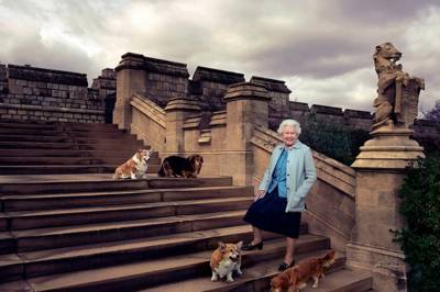 Елизавета II - Елизавета Королева - принц Филипп - Елизавета - Георг VI (Vi) - Королева Елизавета II потеряла любимую собаку - vkcyprus.com