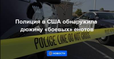 Анна Лысенко - Полиция в США обнаружила дюжину «боевых» енотов - news.mail.ru - США - Ричмонд