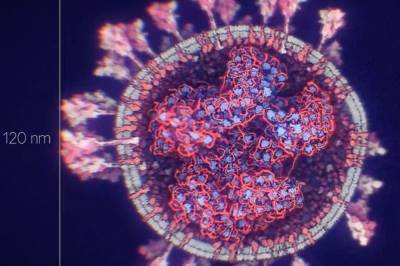 Американские ученые обнаружили мутацию коронавируса, против которой бессильны антитела - vkcyprus.com - Украина
