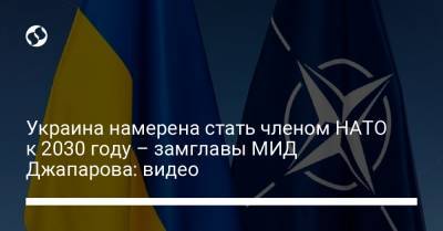 Украина намерена стать членом НАТО к 2030 году – замглавы МИД Джапарова: видео - liga.net - Украина - Грузия