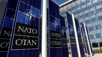 Эмине Джапаров - Украина намерена вступить в НАТО в 2030 году - iz.ru - Израиль
