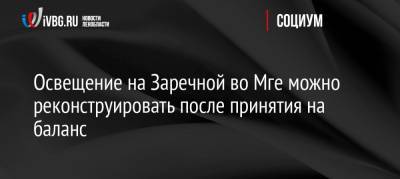 Александр Дрозденко - Освещение на Заречной во Мге можно реконструировать после принятия на баланс - ivbg.ru - Украина - Ленинградская обл. - р-н Кировский