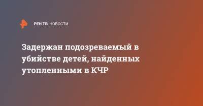 Задержан подозреваемый в убийстве детей, найденных утопленными в КЧР - ren.tv - респ. Карачаево-Черкесия
