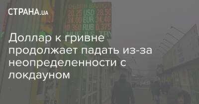 Доллар к гривне продолжает падать из-за неопределенности с локдауном - strana.ua - Украина