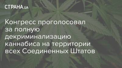 Конгресс проголосовал за полную декриминализацию каннабиса на территории всех Соединенных Штатов - strana.ua - США