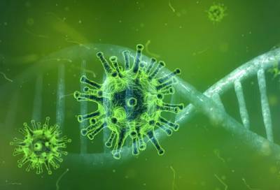Китайский вирусолог спрогнозировала распространение новых видов коронавируса - online47.ru - Китай - п. Хубэй