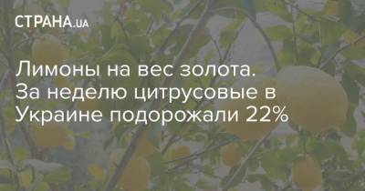 Лимоны на вес золота. За неделю цитрусовые в Украине подорожали 22% - strana.ua - Украина - Турция